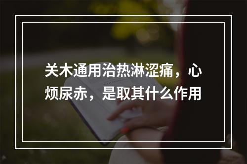 关木通用治热淋涩痛，心烦尿赤，是取其什么作用