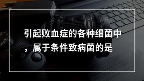 引起败血症的各种细菌中，属于条件致病菌的是