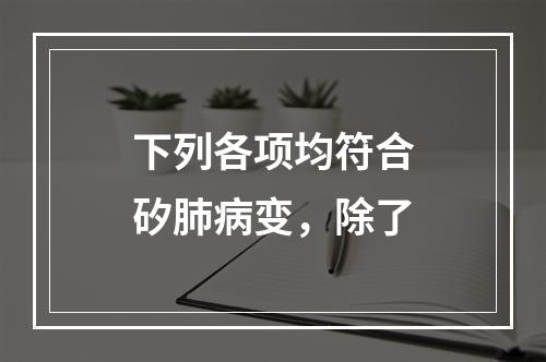 下列各项均符合矽肺病变，除了