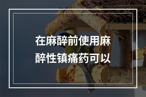 在麻醉前使用麻醉性镇痛药可以