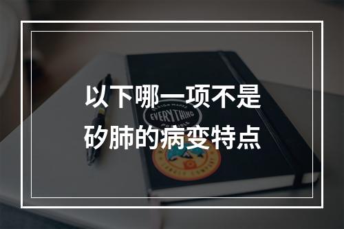 以下哪一项不是矽肺的病变特点