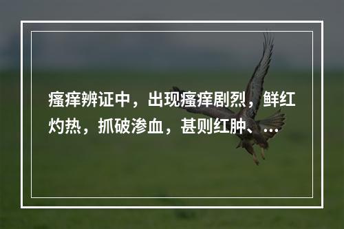 瘙痒辨证中，出现瘙痒剧烈，鲜红灼热，抓破渗血，甚则红肿、糜烂