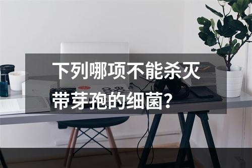 下列哪项不能杀灭带芽孢的细菌？