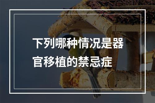 下列哪种情况是器官移植的禁忌症