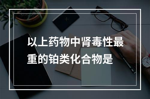 以上药物中肾毒性最重的铂类化合物是