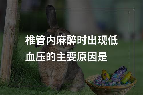 椎管内麻醉时出现低血压的主要原因是