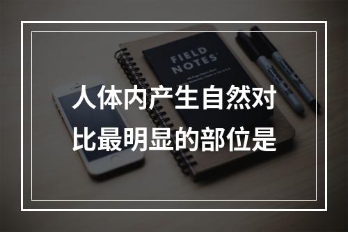 人体内产生自然对比最明显的部位是