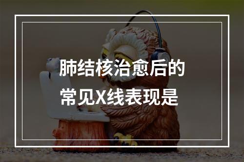 肺结核治愈后的常见X线表现是