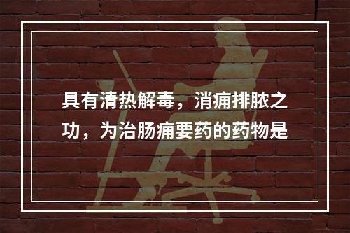 具有清热解毒，消痈排脓之功，为治肠痈要药的药物是