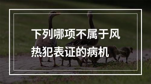 下列哪项不属于风热犯表证的病机