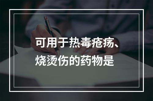 可用于热毒疮疡、烧烫伤的药物是