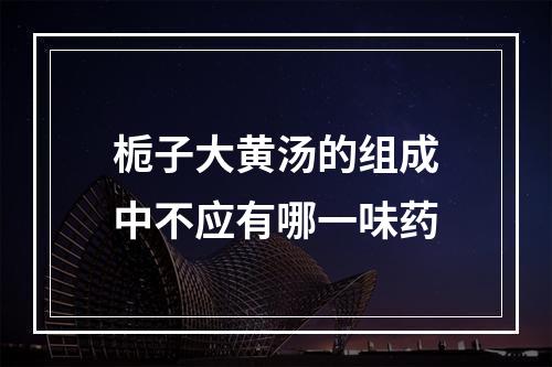 栀子大黄汤的组成中不应有哪一味药