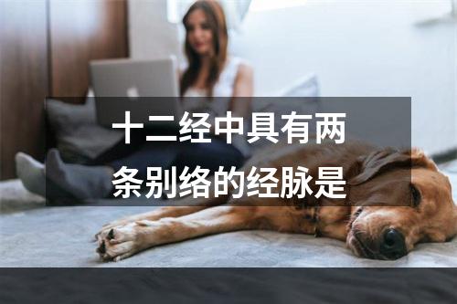 十二经中具有两条别络的经脉是