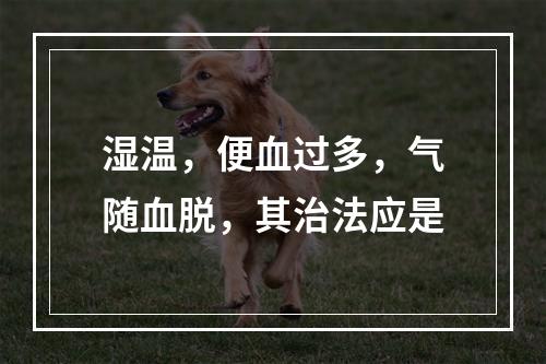 湿温，便血过多，气随血脱，其治法应是