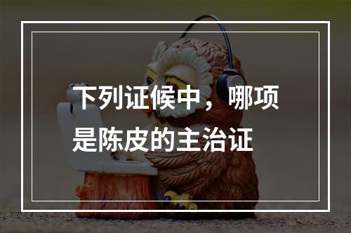 下列证候中，哪项是陈皮的主治证