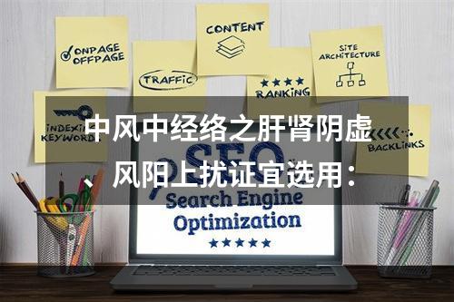 中风中经络之肝肾阴虚、风阳上扰证宜选用：