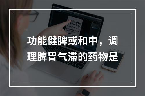 功能健脾或和中，调理脾胃气滞的药物是