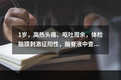 1岁，高热头痛、呕吐周余，体检脑膜刺激征阳性，脑脊液中查到抗