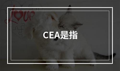 CEA是指