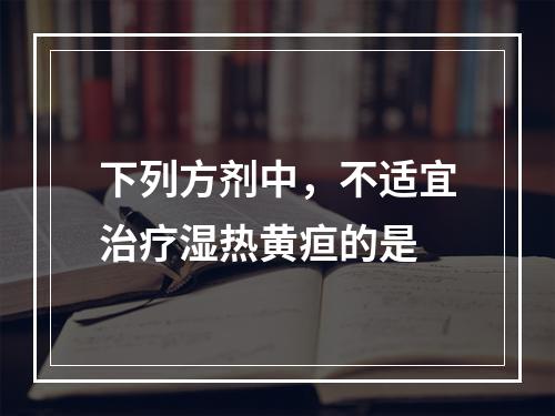 下列方剂中，不适宜治疗湿热黄疸的是