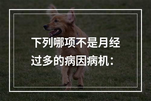 下列哪项不是月经过多的病因病机：