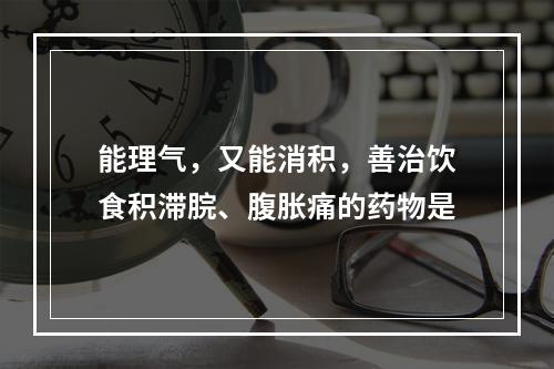 能理气，又能消积，善治饮食积滞脘、腹胀痛的药物是