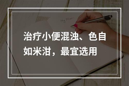 治疗小便混浊、色自如米泔，最宜选用