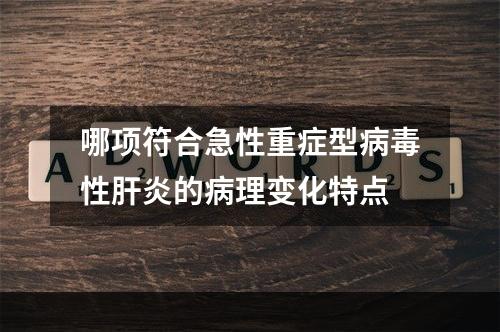 哪项符合急性重症型病毒性肝炎的病理变化特点