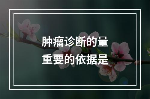 肿瘤诊断的量重要的依据是