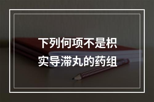 下列何项不是枳实导滞丸的药组