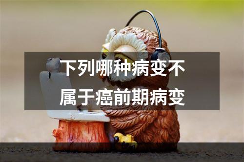 下列哪种病变不属于癌前期病变