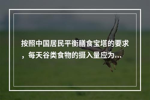 按照中国居民平衡膳食宝塔的要求，每天谷类食物的摄入量应为（）