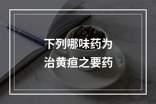 下列哪味药为治黄疸之要药