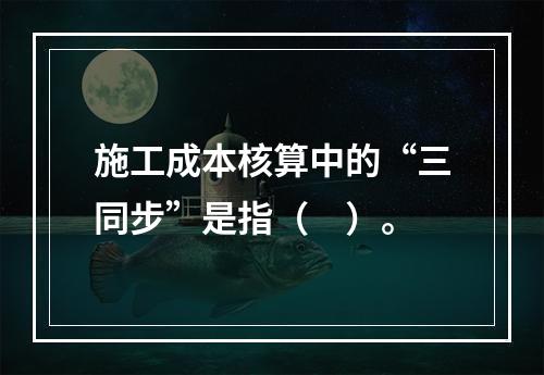 施工成本核算中的“三同步”是指（　）。