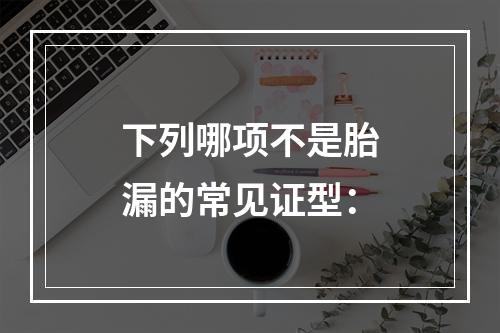 下列哪项不是胎漏的常见证型：