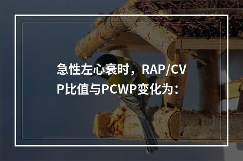 急性左心衰时，RAP/CVP比值与PCWP变化为：