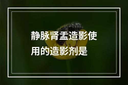 静脉肾盂造影使用的造影剂是