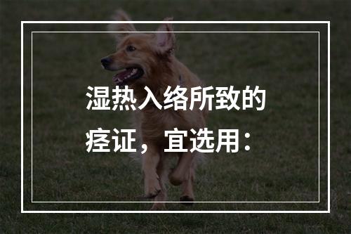 湿热入络所致的痉证，宜选用：