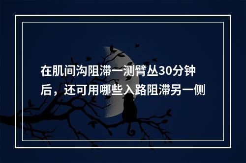 在肌间沟阻滞一测臂丛30分钟后，还可用哪些入路阻滞另一侧