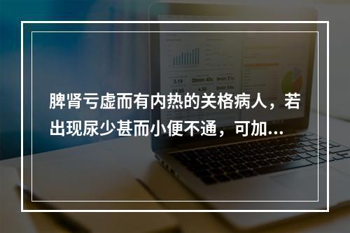 脾肾亏虚而有内热的关格病人，若出现尿少甚而小便不通，可加用：