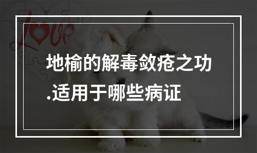 地榆的解毒敛疮之功.适用于哪些病证