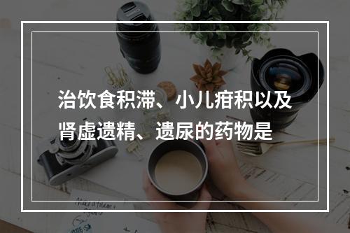 治饮食积滞、小儿疳积以及肾虚遗精、遗尿的药物是