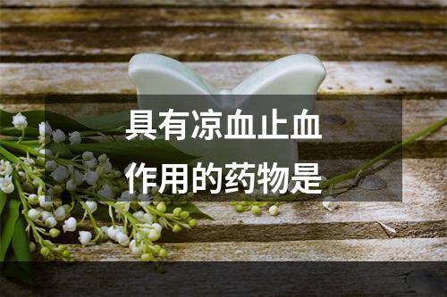 具有凉血止血作用的药物是