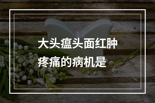 大头瘟头面红肿疼痛的病机是