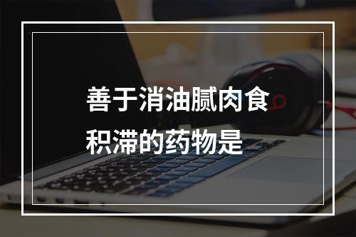 善于消油腻肉食积滞的药物是