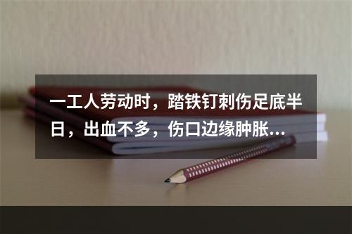 一工人劳动时，踏铁钉刺伤足底半日，出血不多，伤口边缘肿胀，污