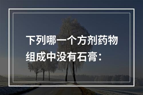 下列哪一个方剂药物组成中没有石膏：