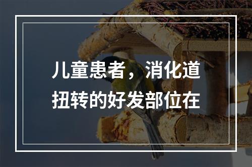 儿童患者，消化道扭转的好发部位在