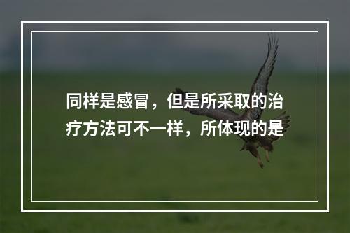 同样是感冒，但是所采取的治疗方法可不一样，所体现的是