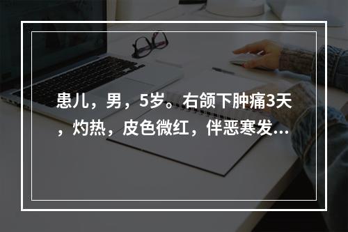 患儿，男，5岁。右颌下肿痛3天，灼热，皮色微红，伴恶寒发热，